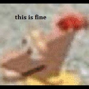 Meet your Posher, Katherine